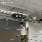 南特vs克莱蒙比分预测 南特vs克莱蒙比分预测